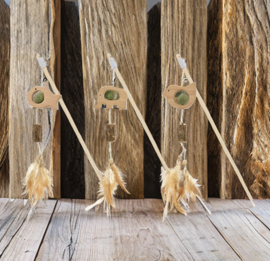 Canne à pêche pour chat