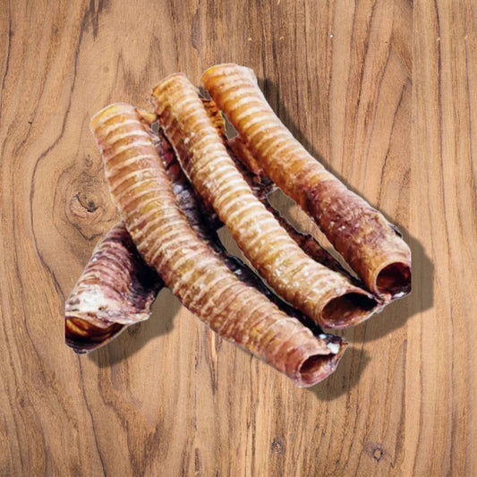 Trachée de boeuf