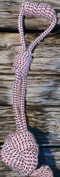 DOTTY Géant