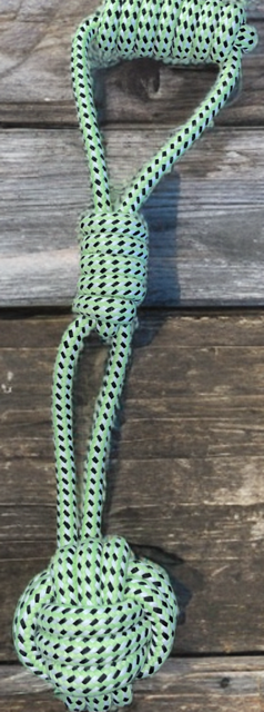 DOTTY Géant